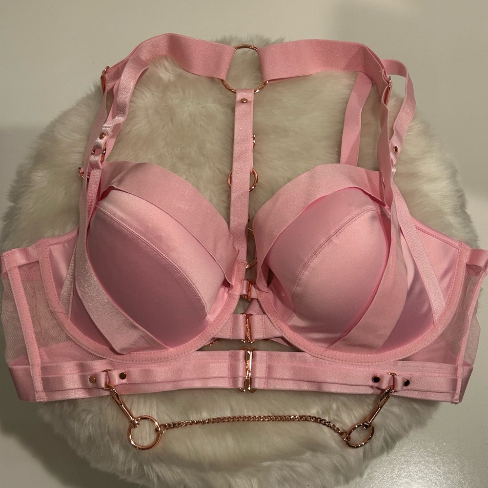 EUC Honey Birdette Blush Pink Kokoro Bra 38DDD